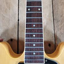 Image result for Light Rosewood 1991 Monaco