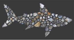 Relax and enjoy the great collection of shark related videos.y8 videos is supported by ads, so there is no cost to watch all the videos. The World Saw A Shark Pocalypse 19 Million Years Ago And We Don T Know Why Ars Technica