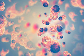 Here we describe a blood test that can detect eight common cancer types. Blood Test Finds Cancers Before Standard Diagnosis Study Health The Jakarta Post
