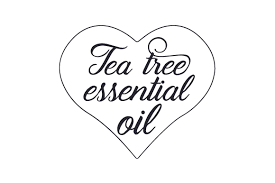 Download Tea Tree Essential Oil Svg Cut Files Download Ariel Silhouette Svg Free SVG Cut Files