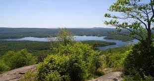 Norvin Green State Forest Njhiking Com Best Hikes State Forest Hiking Spots