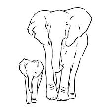 5 241 Line Drawing Elephant Stock Photos And Images 123rf
