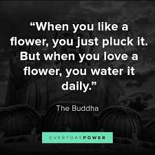 In the original chinese, the story is niān huā wēi xiào (拈花微笑, literally pick up flower, subtle smile). 75 Buddha Quotes On Life Death Peace And Love 2019