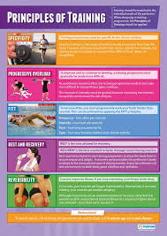 Amazon Com Principles Of Sports Training Pe Posters