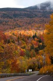 ian shell ishell18 on pinterest pinterest