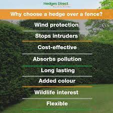 London garden fencing, cutting hedge provides new complete garden fences installations throughout south west london including ealing, chiswick, richmond, barnes and east sheen. Wind Damaged Fencing Hedges Direct Blog