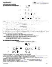 Our goal is that these genetics pedigree worksheet answer key images collection can be a resource for you, give you more references and also make you have a nice day. Kami Export Pedigree Worksheet Pdf Pedigree Worksheet Jenica Hancock Name 6 Period Date Interpreting A Human Pedigree Use The Pedigree Below To Course Hero