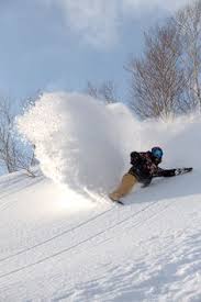 She's grown into a role model, an ambassador to the sport and the culture, and she does it all with style and grace. 150 Best Torah Bright Ideas Torah Bright Snowboarding Olympic Medals