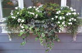 We did not find results for: 16 Ways To Use Artificial Flowers In Your Home Window Box Flowers Artifical Flowers Artificial Flowers Outdoors