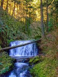 Dutchman Falls Larch Mountain Trail Columbia River Gorge Oregon Posted On Pacific Nw Falls Facebook Oregon City Travel Usa Wonders Of The World