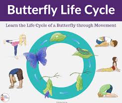 Insect, bugs, and creepy crawlers yoga cards and printables Kids Yoga Stories Butterfly Life Cycle Teach Kids The Life Cycle Of A Butterfly Through Movement And These 5 Simple Yoga Poses Read More Here Https Www Kidsyogastories Com Life Cycle Butterfly Facebook