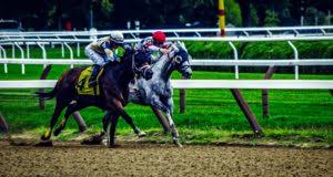 Rd.com knowledge facts you might think that this is a trick science trivia question. Horse Racing Trivia Questions Answers Trivia Bliss