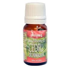 Ulei Esențial De Cedru De Himalaya 10 Ml Adams Vision Farmacia Tei
