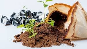 Kaffeesatz Als Dunger Im Garten Verwenden Heidelbeeren Pflanzen Kaffeesatz Heidelbeeren Dungen