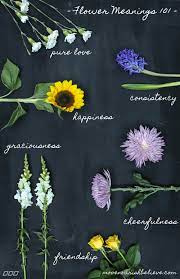 Each coloured tulip means something a little different when given to someone close to you. Flower Meanings Decoded The Secrets Of Your Favourite Bloom Move Nourish Believe