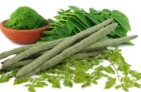 A wide variety of moringa seeds singapore options are available to you, such as style, hybrid, and cultivation type. Ten Health Benefits Of The Moringa Leaf Thai Marum à¸¡à¸°à¸£ à¸¡ Thailand Medical News