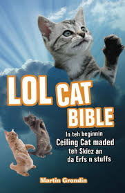 Our range of furniture is designed to give your cat a place to scratch and stretch other than your living room furniture. Lolcat Bible In Teh Beginnin Ceiling Cat Maded Teh Skiez An Da Urfs N Stuffs Grondin Martin Amazon De Bucher