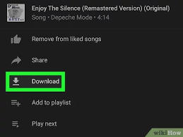 It may be a bit of a challenge, but you can download youtube videos directly to your. 3 Simple Ways To Play Youtube Music Offline On Iphone Or Ipad