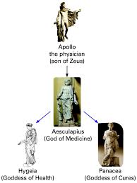 Image result for Hippocratea goetzei