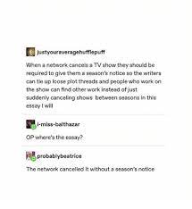 25 Best Memes About In This Essay I Will In This Essay I Will Memes
