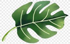 Setelah itu wallpaper dinding, gambar wallpaper background keren, wallpaper animasi, background lucu, wallpaper andorid, wallpaper hp, gambar wallpaper , foto wallpaper , wallpaper unik ini. 11 Ide Tanaman Hijau Tanaman Hijau Tanaman Hijau