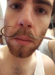 Alex's Moustache