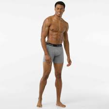 Smartwool Mens Merino 150 Micro Stripe Boxer Briefs