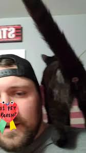 Austin Ortiz (@austinortiz74)