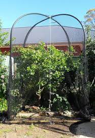 Fruit samples, full size specimens, leaf, bark and flower. Fruit Tree Cage Installation And Vegetable Garden Hoop Houses