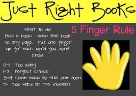 Just Right Books Anchor Chart By Megan Adamson Tpt