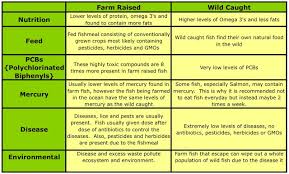 Fish Farm Raised Vs Wild Caught Talk Tennis