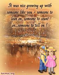 Pin By Jody Dahl On 1 Little Brother Quotes Brother Quotes Brother Sister Quotes