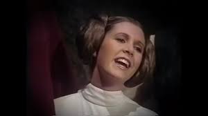 Richland High School, NRH TX, Class of 79