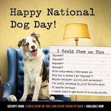 The competition is the qualification race for the upcoming skyhoundz world. Pin On Writerly Dogs