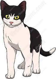 Black And White Kitten Standing And Looking Ahead Kitten Cartoon Cartoon Clip Art Black And White Kittens
