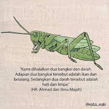 Check spelling or type a new query. Belalang Dan Ikan Merupakan Hewan Yang Cahaya Hati Islam Facebook