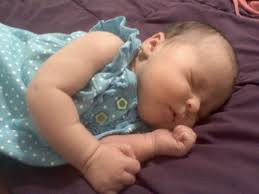 JOHNSON CITY ELKS LODGE # 2821 NEWSLETTER