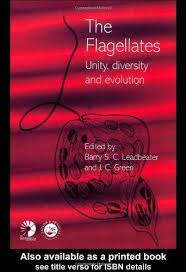 Biology The Unity And Diversity Of Life Pdf Protozoans Are Classified On The Way They Move Into Four Categories 1 Sacordinians Move Using Pseudopod 2 Zooflagellat Unity In Diversity Unity Evolution