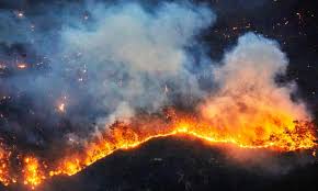 Countries From Siberia To Australia Are Burning The Age Of Fire Is The Bleakest Warning Yet Bushfires The Guardian