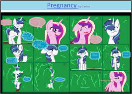 This is art for my friend. My Little Pony Pregnancy Comic By Larissa By Larissa33 On Deviantart