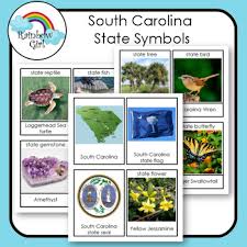 How can i contact my legislators? South Carolina State Symbols Worksheets Teaching Resources Tpt