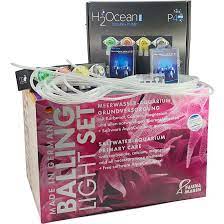 Berlin systems, natural filtration systems, and nutrient management systems such as zeolite systems are also safe with balling light method. H2ocean 4 Fach Dosierpumpe P4 Pro Fauna Marin Balling Light Starter Set 10 M Schlauch 4 St Ru Dosierpumpen Pumpen Technik Mehr Meerwasseraquaristik Shop Coral Garden De