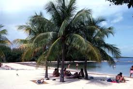 Cannon beach is close to the main concession area and is the best place for beach snorkeling. Florida Memory View Of People At The John Pennekamp Coral Reef State Park Beach Key Largo Florida