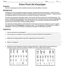 Some of the worksheets displayed are meiosis and mitosis answers work, 013368718x ch11 159 178, biology 1 work i selected answers, cell division explore learning gizmo answers, student exploration stoichiometry gizmo answer key pdf, phase changes work answers, section 102 cell division. Meiosis Gizmo Answer Key Activity A Cell Division Gizmos Answer Key