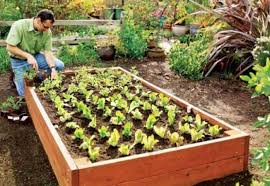 Cele mai cool idei de la homelux pentru o curte de invidiat. Lucrari De Primavara In Gradina Sfaturi De Ingrijire