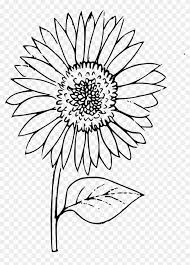 20 Sunflower Flower Outline Rituals You Should Know In 20 Flower Outline Sunflower Clipart Sunflower Flower