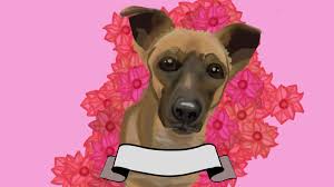 Bungendore locals! We create your custom caricatures and they are only $50  in our current Valentines Day Sale pricing which ends soon! ❤️ Put it