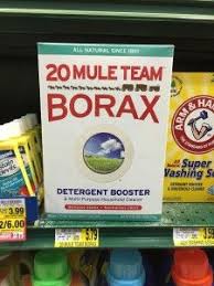 Pin On Roach Killer Tips Using Borax Boric Acid Roach Baits Other Home Remedies To Get Rid Of Roaches