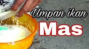 Masukkan kroto aduk terus sampai adonan merata lalu masukkan ke dalam plastik satu. 13 Cara Membuat Umpan Ikan Mas Agar Dapat Banyak Arenahewan Com