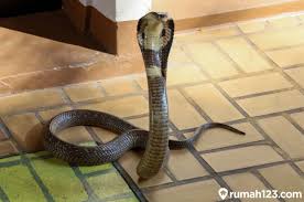 Maybe you would like to learn more about one of these? 8 Uerr Sjnjnvm